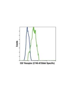 Cell Signaling Egf Receptor (E746-A750del Specific) (D6b6) Xp Rabbit mAb
