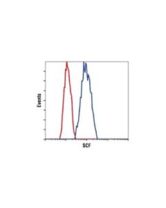 Cell Signaling Scf (C19h6) Rabbit mAb