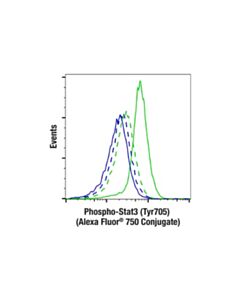 Cell Signaling Phospho-Stat3 (Tyr705) (D3a7) Xp® Rabbit mAb (Alexa Fluor® 750 Conjugate)