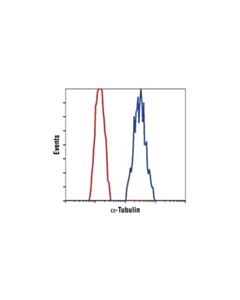 Cell Signaling Alpha-Tubulin (11h10) Rabbit mAb