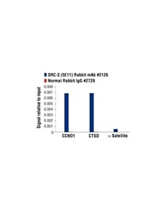 Cell Signaling Src-3 (5e11) Rabbit mAb