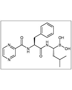 Cell Signaling Bortezomib