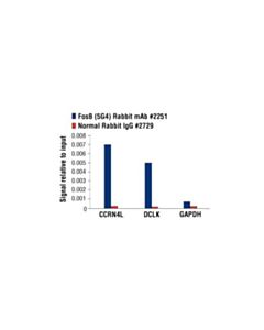 Cell Signaling Fosb (5g4) Rabbit mAb