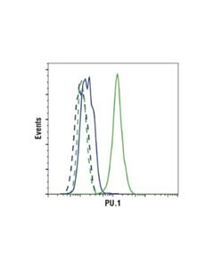 Cell Signaling Pu.1 (9g7) Rabbit mAb