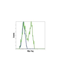 Cell Signaling Myc-Tag Antibody