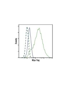 Cell Signaling Myc-Tag (71d10) Rabbit mAb