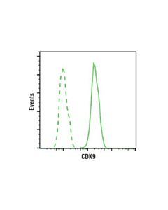 Cell Signaling Cdk9 (C12f7) Rabbit mAb