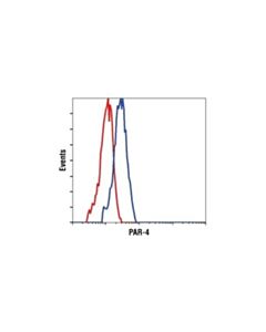 Cell Signaling Par-4 Antibody