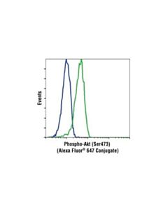 Cell Signaling Phospho-Akt (Ser473) (193h12) Rabbit mAb (Alexa Fluor 647 Conjugate)
