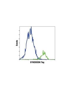 Cell Signaling Dykddddk Tag Antibody (Binds To Same Epitope As Sigmas Anti-Flag M2 Antibody)
