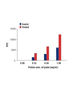 Cell Signaling Senescence Beta-Galactosidase Activity Assay Kit (Fluorescence, Plate-Based)