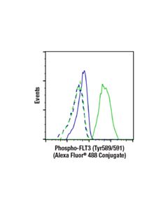Cell Signaling Phospho-Flt3 (Tyr589/591) (E4d6y) Rabbit mAb (Alexa Fluor ® 488 Conjugate)