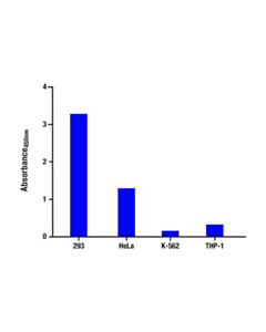 Cell Signaling Total P21 Waf1/Cip1 Matched Antibody Pair