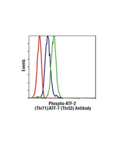 Cell Signaling Phospho-Atf-2 (Thr71)/Atf-7 (Thr53) Antibody