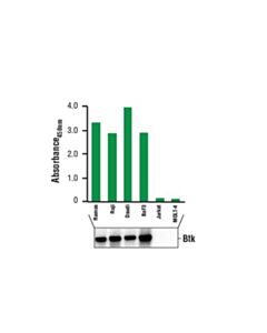 Cell Signaling Pathscan Total Btk Sandwich Elisa Kit