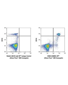 Cell Signaling Cd68 (D4b9c) Xp Rabbit mAb (Alexa Fluor 488 Conjugate)