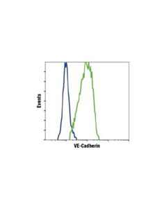 Cell Signaling Ve-Cadherin (D87f2) Xp Rabbit mAb