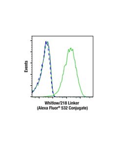 Cell Signaling Whitlow/218 Linker (E3u7q) Rabbit mAb (Alexa Fluor ® 532 Conjugate)