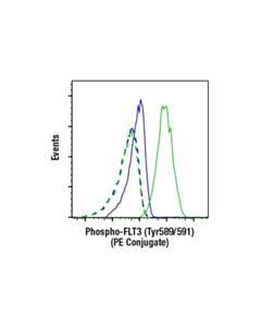 Cell Signaling Phospho-Flt3 (Tyr589/591) (E4d6y) Rabbit mAb (PE Conjugate)