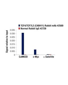 Cell Signaling Tcf4/Tcf7l2 (C48h11) Rabbit mAb