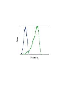 Cell Signaling Keratin 5 (D4u8q) Rabbit mAb