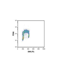 Cell Signaling Pcna (Pc10) Mouse mAb