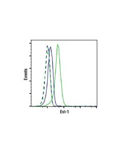Cell Signaling Evi-1 (C50e12) Rabbit mAb