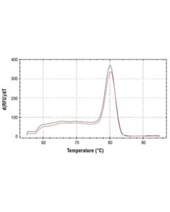 Cell Signaling Simplechip Human Znf335 Promoter Primers