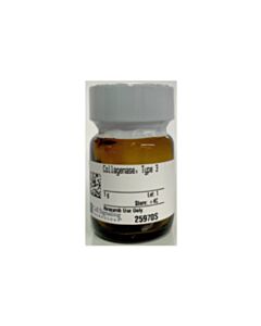 Cell Signaling Collagenase, Type 3