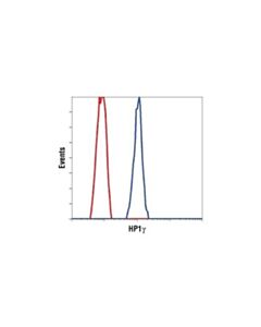 Cell Signaling Hp1gamma Antibody