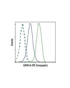 Cell Signaling Gata-6 (D61e4) Xp Rabbit mAb (PE Conjugate)
