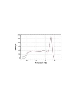 Cell Signaling Simplechip Human Mef2a Exon 1 Primers