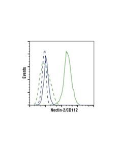 Cell Signaling Nectin-2/Cd112 (E4h9v) Rabbit mAb