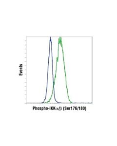 Cell Signaling Phospho-Ikkalpha/Beta (Ser176/180) (16a6) Rabbit mAb