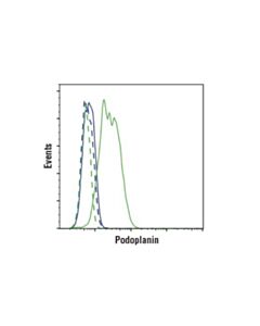 Cell Signaling Podoplanin (Lpmab-12) Mouse mAb