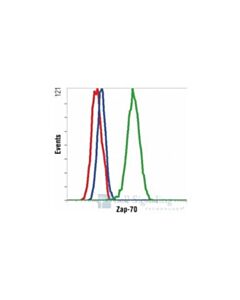 Cell Signaling Zap-70 (99f2) Rabbit mAb