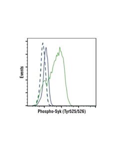 Cell Signaling Phospho-Syk (Tyr525/526) (C87c1) Rabbit mAb