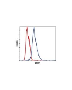Cell Signaling Ship1 (C40g9) Rabbit mAb