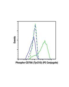 Cell Signaling Phospho-Cd79a (Tyr210) (E8e9z) Rabbit mAb (PE Conjugate)