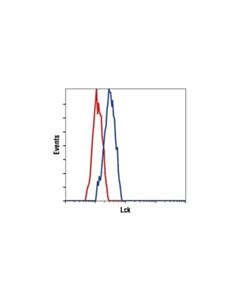 Cell Signaling Lck (73a5) Rabbit mAb