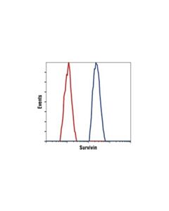 Cell Signaling Survivin (71g4b7) Rabbit mAb