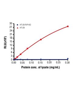 Cell Signaling Pathscan Total Rip Chemiluminescent Sandwich Elisa Kit