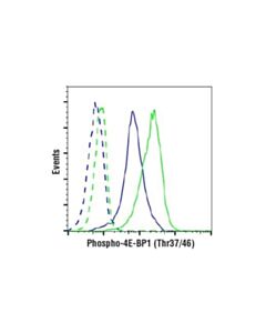 Cell Signaling Phospho-4e-Bp1 (Thr37/46) (236b4) Rabbit mAb