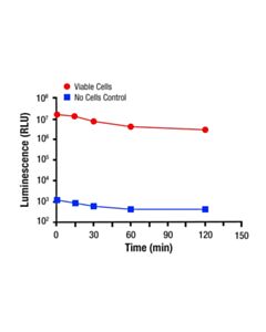 Cell Signaling Firefly Luciferase ATP Assay Kit