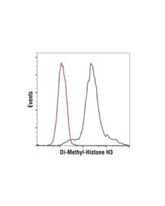 Cell Signaling Di-Methyl-Histone H3 (Lys36) (C75h12) Rabbit mAb