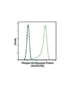 Cell Signaling P70 S6 Kinase Substrates Antibody Sampler Kit