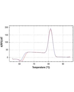 Cell Signaling Simplechip Human Eif4g1 Intron 8 Primers