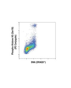 Cell Signaling Phospho-Histone H3 (Ser10) (D7n8e) Xp Rabbit mAb (PE Conjugate)