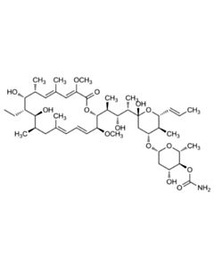 Cell Signaling Concanamycin A