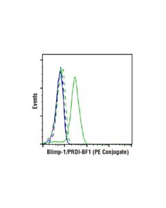 Cell Signaling Blimp-1/Prdi-Bf1 (C14a4) Rabbit mAb (PE Conjugate)